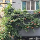부산고양이까페나비정원 | 부산 전포 카페 추천｜고양이가 있는 산애 카페 내돈내산 후기