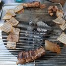 자연산산꼼장어 이미지