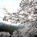 화개119지역대 이미지