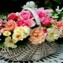 효자주유소 이미지