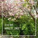 완산-170 네이버블로그
