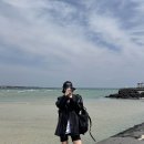 표선김밥