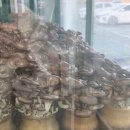 도고농장 | 맛집]용인 신갈동 샤브샤브에 버섯을 무제한으로 즐기는 청년농부버섯농장/어린이버섯칼국수 주문 후기