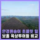 보홀 여행 육상투어 코스 비교 초콜릿힐 안경원숭이 후기