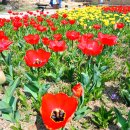 596 | 대전 회덕 동춘당 공원