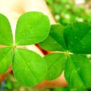 아이콘짐 이미지