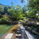 한국고건축박물관 | 보조국사의 지팡이에는 언제 잎이 다시 자랄까? 순천 송광사