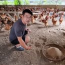 알오네농장 이미지