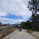 삼성현공인중개사사무소 이미지