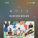 라쿵푸 이미지