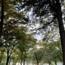 관문체육공원 이미지