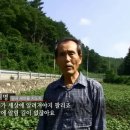 새마을 운동 당시 도로를 낸 방법 이미지