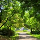 드림수면의원 이미지