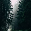 일로건강약국 이미지