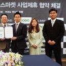 오아시스 이미지