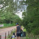 다람산공원 | 다람산물놀이장 후기 | 무료로 즐기는 아이 물놀이장