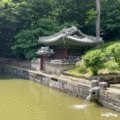 개성만두국(본점) 이미지
