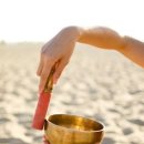 유원초등학교 이미지