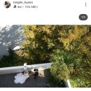스튜디오 랑게 계약 후기 (구 르노브)