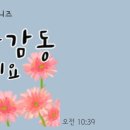 체르니음악교습소