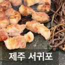 육치미 이미지