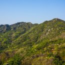 용봉산자연휴양림 이미지