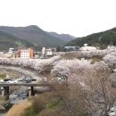 수안보족욕길 이미지