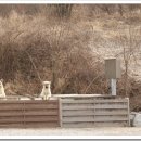 플하우스 이미지