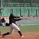 진해공설운동장 야구장 이미지