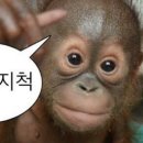 에이제이살롱 이미지