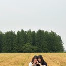 종금주유소 이미지