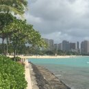 GOLF K 아카데미 이미지