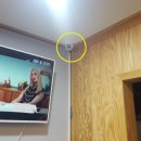 공릉동원조멸치국수 이미지