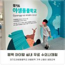 울산광역시야생동물구조관리센터 | 평택 아이랑 실내 무료 야생동물학교 수의사체험