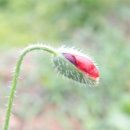 인생안경 이미지