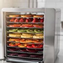 대한식품 | 식품 건조기 사용 후기, 처음 써본 입문자의 솔직한 경험