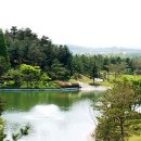 여주-0594 이미지