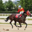 캡틴축산 이미지