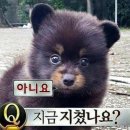 대전 건설재료기사 대전도시과학고 작업형 후기