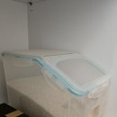 2025 전라도 천년의 춤 | 2025년 햅쌀 구매했어요! 텃밭할매몰 천년의솜씨 신동진쌀 맛 후기