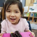 수현김밥 네이버블로그
