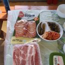 꽃마을펜션 네이버블로그