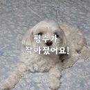 우림필유느낌표세탁 | [오창,청주,오송정리수납] 이사했는데 집정리가 시급해요!