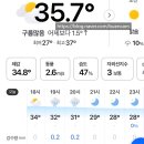 트리하우스 | 태백고원자연휴양림/트리하우스B동(2호)/취사불가/너무 좋아요