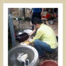 현식농장 이미지