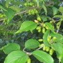 대박4농장 이미지