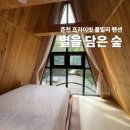 별을 담은 숲 | 춘천 숙소 추천 | 프라이빗 풀빌라 펜션 [별을 담은 숲] 내돈내산 후기