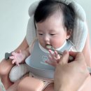 (주)큐브팩 | [초기 이유식] 시판 이유식 체험팩 비교 분석 베베쿡 루솔 짱죽 직접 먹여본 후기