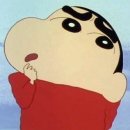 세이프독하우스 그루밍 | 제주도는 발라드다