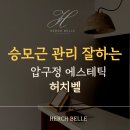허치벨 네이버블로그